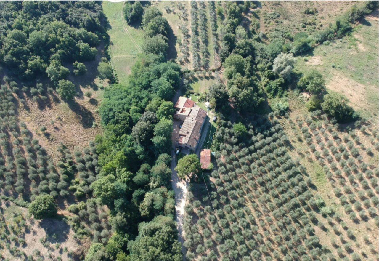 Fattoria Celle *