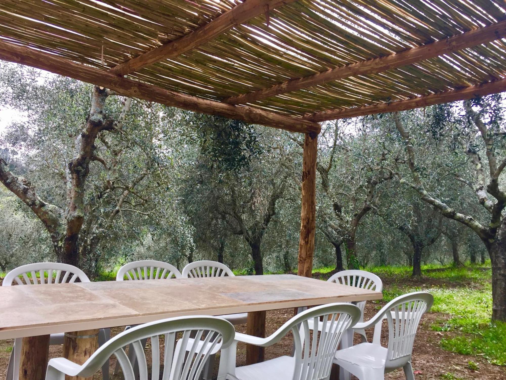 Fattoria Celle Vakantiehuis *
